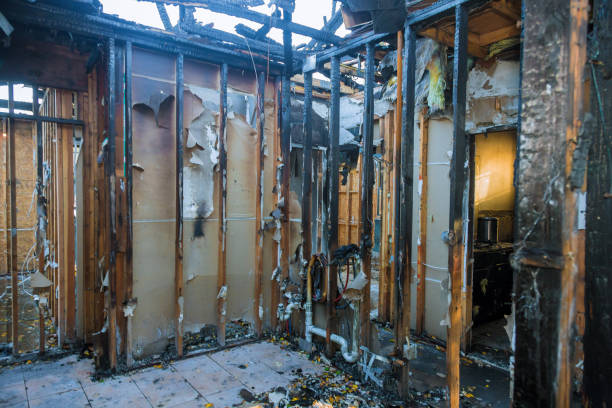 Professional Soot Cleanup technician working in Hampton, IL